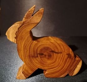 __hase__goldregen_12 cm__12 € (2).jpg