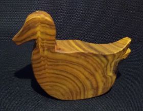 __ente__berberitze_12 cm__10 €.jpg